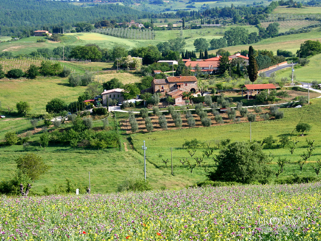Montepulciano